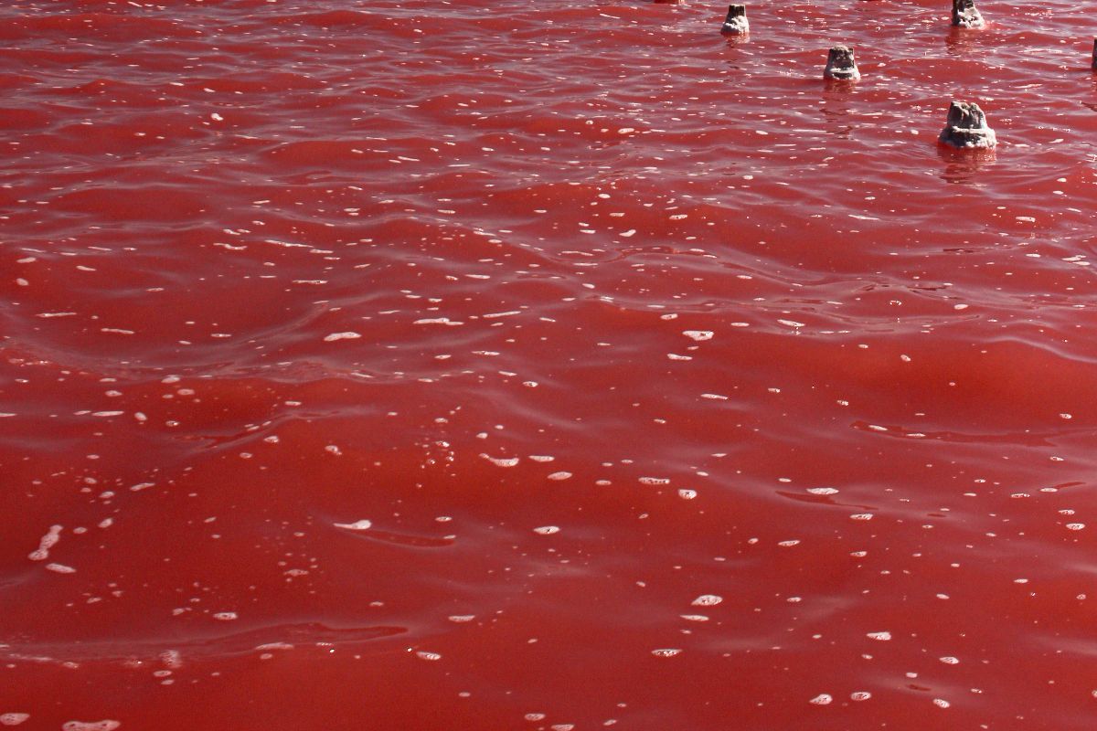red